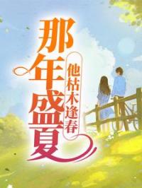精品热文《夏至盛野》那年盛夏，他枯木逢春小说全文精彩章节免费试读无删减