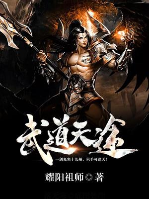 武道天途