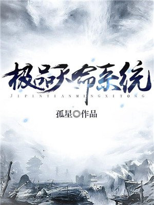 极品天命系统