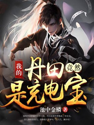 我的丹田竟然是充电宝