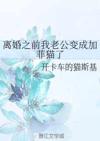 离婚之前我老公变成加菲猫了
