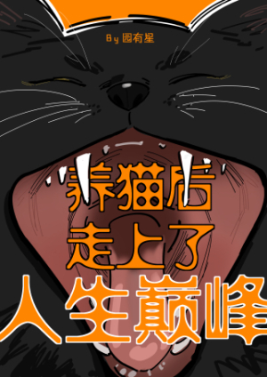 养猫后走上了人生巅峰（下）