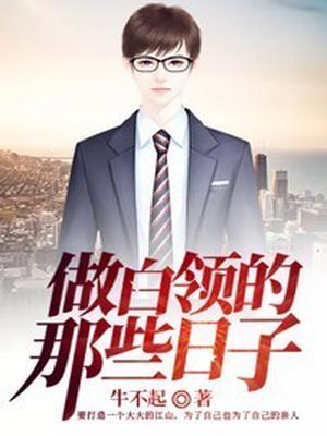 做白领的那些日子