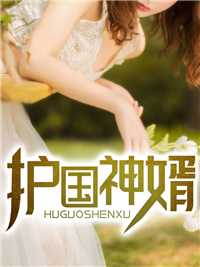 护国神婿林浩
